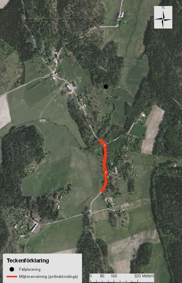 Säbyn (i ekoruta: 9C 7c) Denna ekoruta är den nordligaste i inventeringen och består till största delen av skogsmark, men det finns en hög andel åkrar, vall och hagmarker i ekorutans