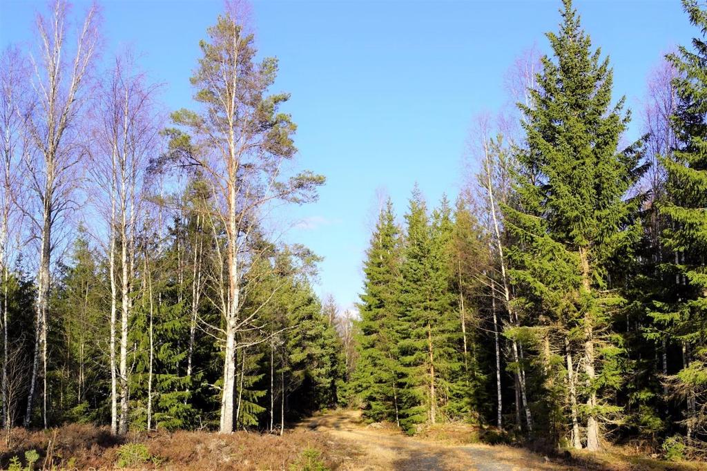 Rättsförhållanden Berörda fastigheter Försäljningen avser del av Övratorp 1:5, Övratorp 1:7, Övratorp 1:9, fastigheterna belägna i Uppvidinge kommun, Åseda socken.