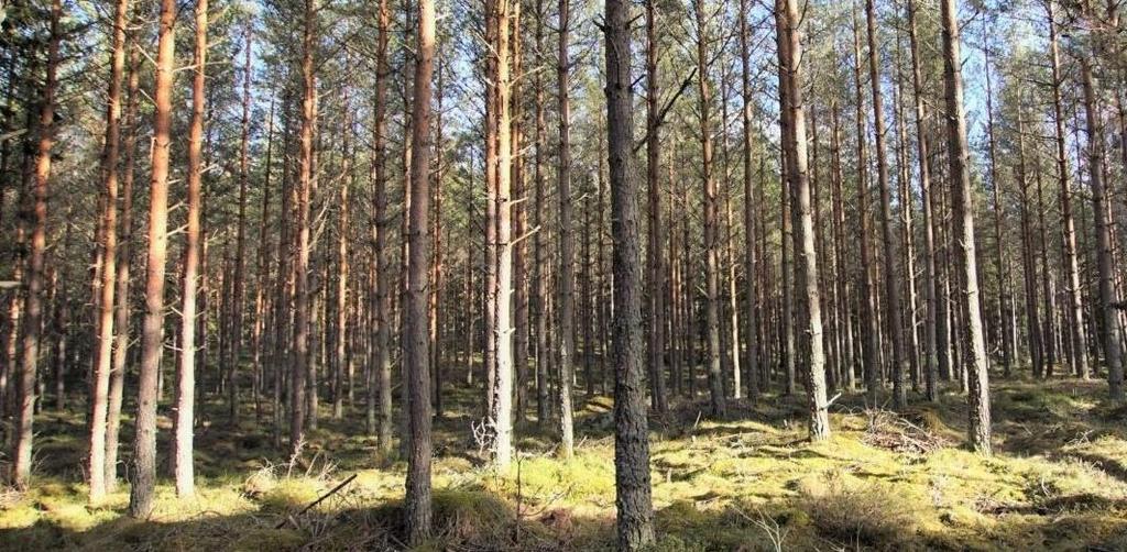 Taxeringsvärde Del av Övratorp 1:5, typkod 120, bebyggd lantbruksenhet. Försäljningsområdet Övratorp 1:5, del av, har inget eget åsatt taxeringsvärde utan ingår i en större taxeringsenhet.