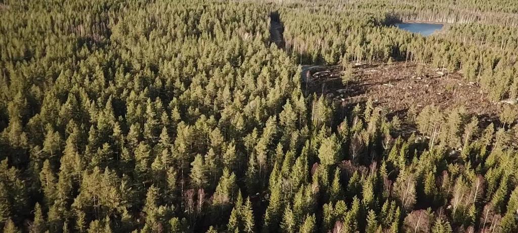 Planer och bestämmelser Fornlämningar, Mynd. aktbet.: 10077402740001, Mynd. aktbet.: 10077400210001, Mynd. aktbet.: 10077403730001. Ägare Uppvidinge Övratorp 1:7 och 1:9, Mats Bokor Fransson.
