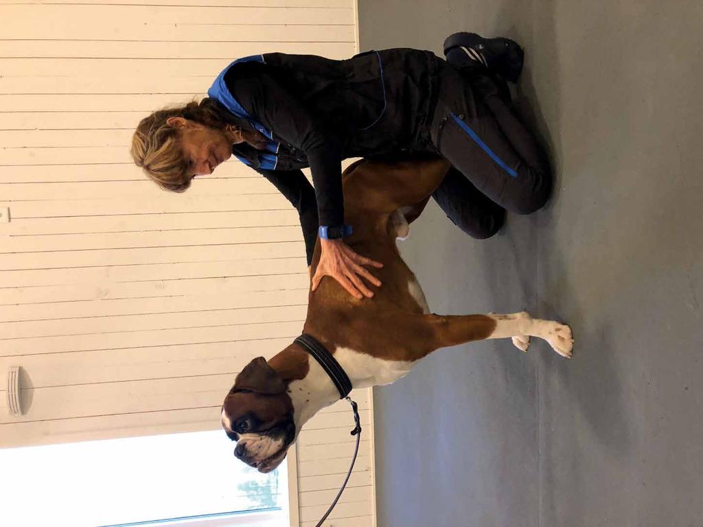 Fysioterapeutisk behandling av spondylos Hos en hund som har drabbats av spondylos är fysioterapi en viktig del av behandlingen. Rätt behandling kan mjuka upp spända och ömmande muskler.