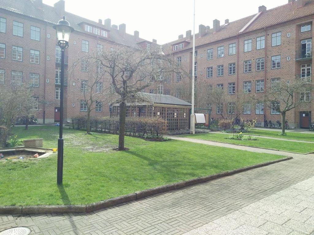 Analys Figur 15. Foto: Vilma Osberg, 1 april 2017.