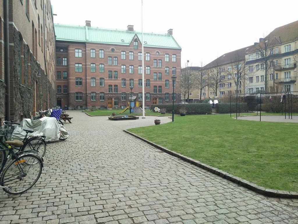 Figur 22. Foto: Vilma Osberg, 1 april 2017. Längs med hela bostadshusets vägg växer det vildvin till en höjd av ca fyra meter (figur 22).