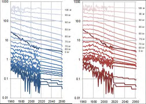 4.2 Antaganden om dödsriskernas utveckling Stenungsund kommuns dödsrisker beräknas baserat på observerade data för åren 2014 2018 i åldrarna 75 89 år.