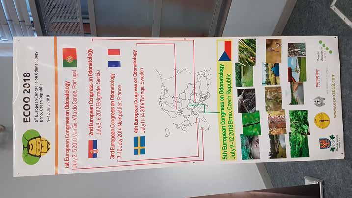 dogjorde för en längre studie om trollsländefaunan i olika typer av parkdammar. Geert De Knijf (Belgien) redovisade läget med övervakning av arterna i Natura 2000.