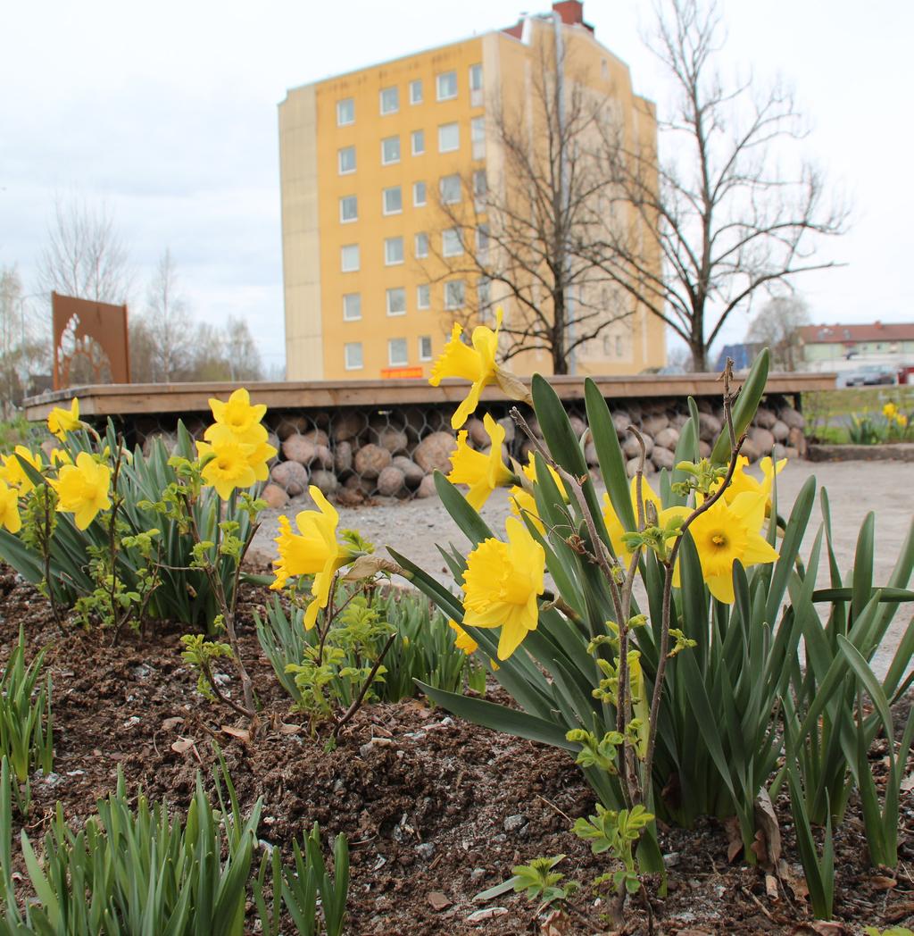 Bilaga 1 Delårsrapport jan-apr 1 Samhällsbyggnadsnämnden Sammanfattning 1 är första året på den nya mandatperioden och de första fyra månaderna har varit mycket intensiva med fem sammanträden mot