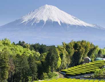 9 april Shimizu (Mt Fuji), Japan Idag går vi i land i Shimizu som är en liten hamn söder om Yokohama där huvudmålet för stoppet är den för Japanerna, inte bara heliga vulkanen, utan idag närmast en