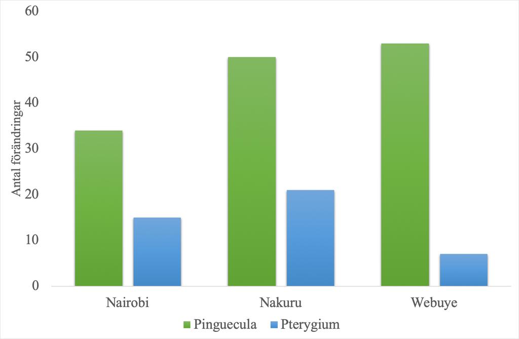 Pinguecula noterades hos 34 deltagare i Nairobi (69,4%), 50 deltagare i Nakuru (70,4%) och 53 deltagare i Webuye (88,3%).