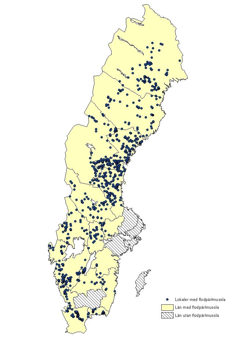 Figur 3. Utbredningen (förekomster) av flodpärlmussla i Sverige. En punkt motsvarar en lokal.