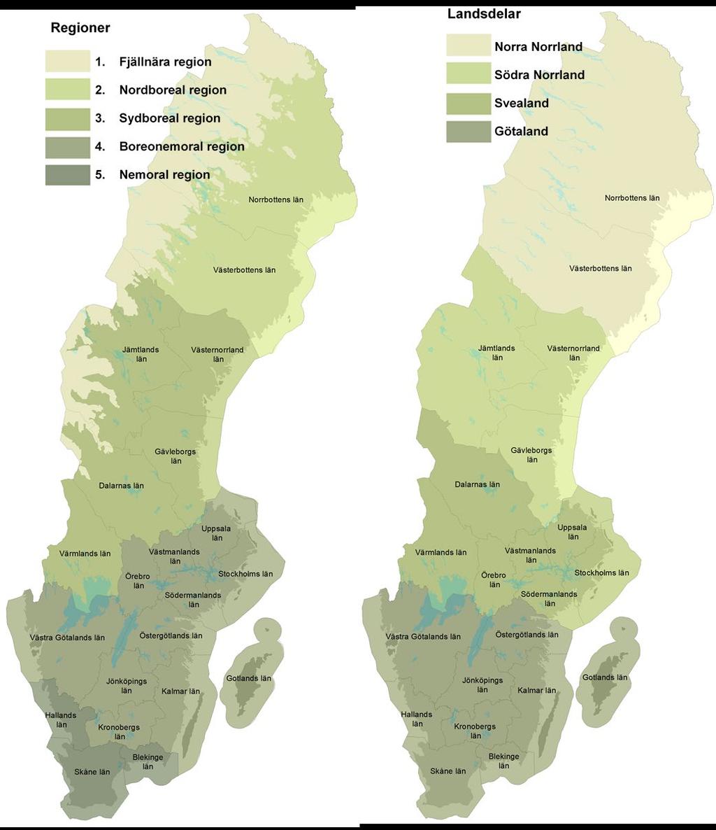 Geografisk indelning Den samlade statistiken redovisas per län och per region 13 samt ovan respektive nedan den gränsen för fjällnära skog.
