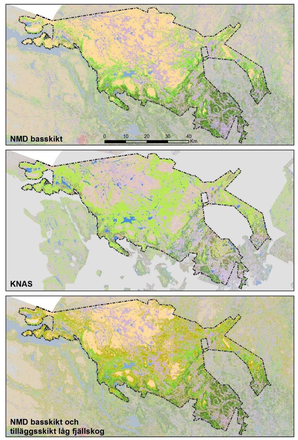 7 Karta 2. Torneträsk-Soppero fjällurskog naturreservat Torneträsk-Soppero fjällurskog är ytterligare ett exempel på hur arealen skogsmark skiljer sig, beroende på vilken karta som används.