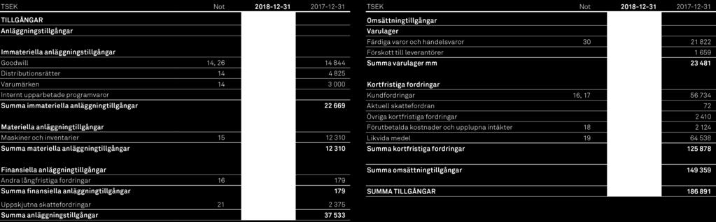 Koncernens rapport