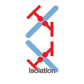 Vårt omfattande sortiment av analoga och digitala isolatorer med inbyggd säkerhet har multifunktionella in- och utgångar som gör PR till en lättimplementerad anläggningsstandard.