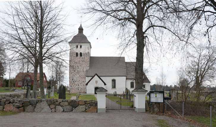 träd, häckar och