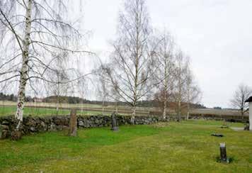 Trädkransen Hela den gamla kyrkogården vid Balingsta kyrka omgärdas av en kallmurad bogårdsmur. Längs hela murens insida har det tidigare löpt en rad av träd, en så kallad trädkrans.