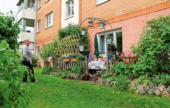 - I mitten av