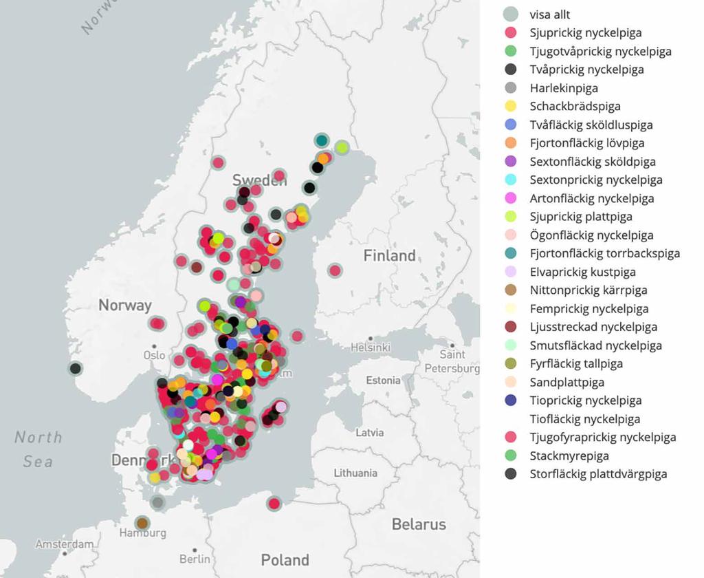 På kartan i figur 5 kan man se var i Sverige alla bilder är tagna och på vilka arter. På Nyckelpigeförsökets webbplats, https://forskarfredag.