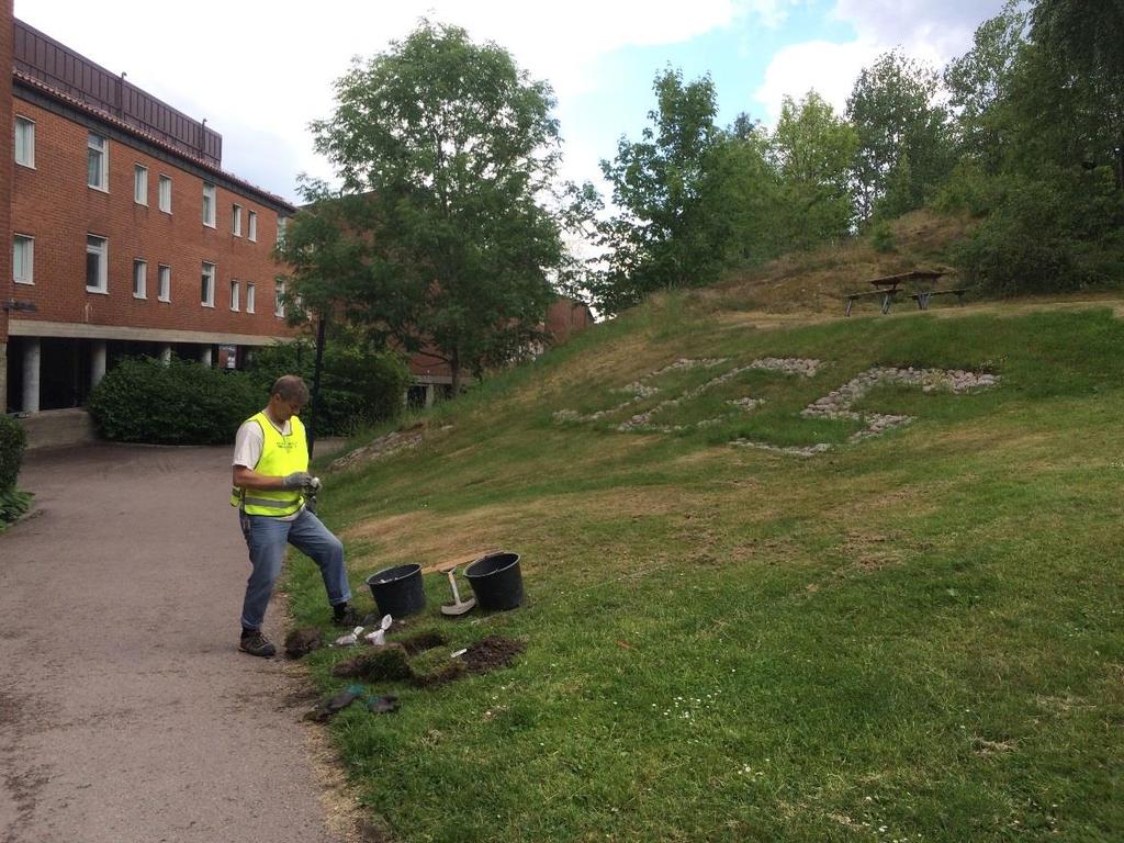 RAPPORT SGS STUDENTBOSTÄDER Fastigheterna Krokslätt 90:24, Krokslätt 90:25, Krokslätt 90:35, Krokslätt 90:37 samt Krokslätt 90:38 inom Göteborgs