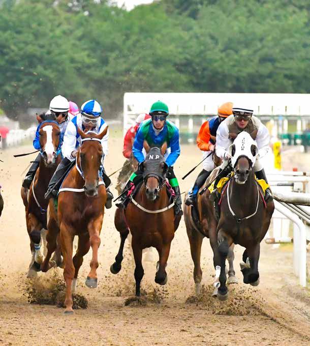 DERBYBANAN JÄGERSRO NR 7 SÖNDAG 9 JUNI 2019 KLOCKAN 12.