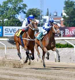 7 Plantstepsdream (e Planteur) tränas av Lennart Jr Reuterskiöld och klev på allvar in i Voter- och Derbydiskussionen senast när han var nära Nipozzano i mål.