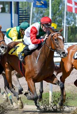 Svenskt Derby Trial Orb Craft men har bara en seger. Oliver Wilson har suttit i sadeln i varje start och känner Sir Churchill väl. Marc Stott tränar.