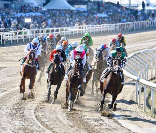 Galoppsport - en sport för alla Välkommen till galoppsportens fascinerande värld! Vi hoppas ditt besök på Jägersro Galopp idag ska bli en fest för alla sinnen och en upplevelse med mersmak.