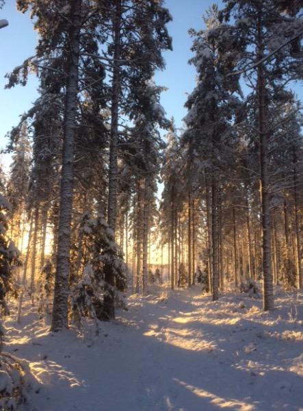 * Att snö