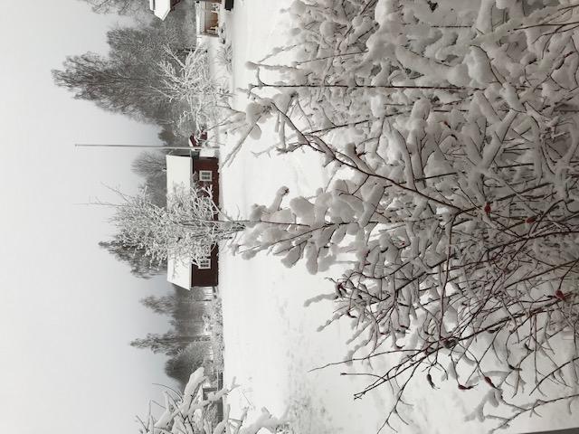 December hoppets månad. Naturen har verkligen kommit till ro, stillhet råder.