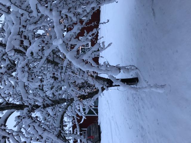 julgranar har