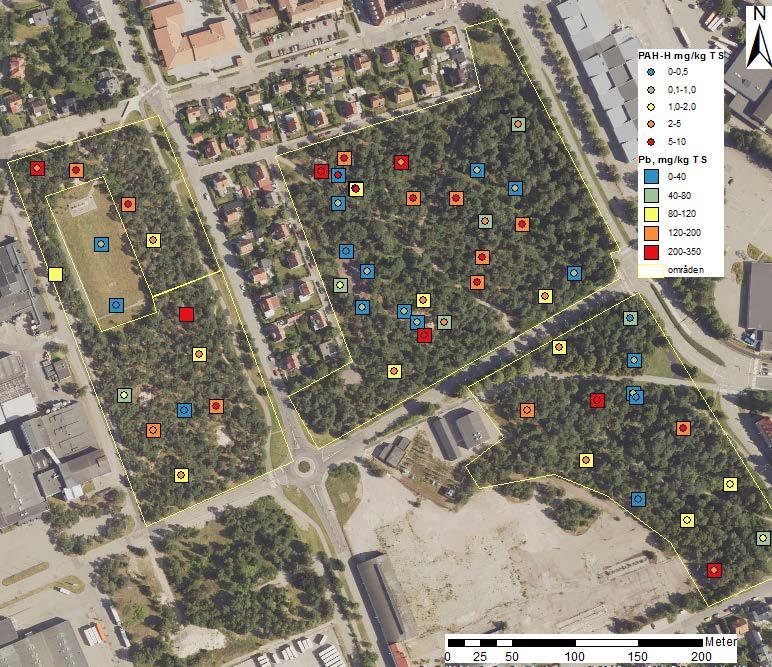 Riskbedömning Triangelskogen m.fl. i Helsingborg 3 Aktuella parkområden: Del av en ca 200 år gammal tallplantering som anlades för att förhindra sandflykt.