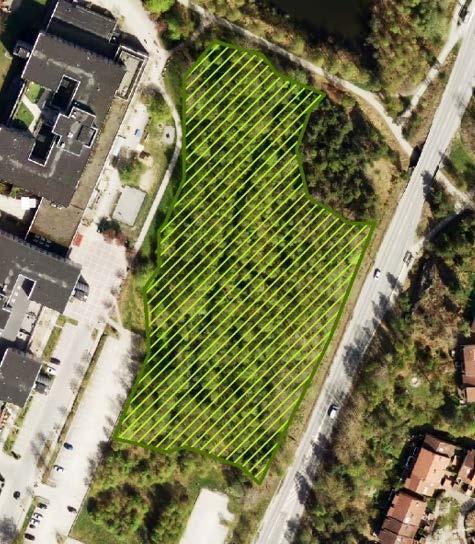 15 (38) Sumpskogsområdet avgränsat av Calluna i tidigare naturvärdesinventering 2014 samt den yta som planeras att tas i anspråk. Blå yta är 5773 m² dvs den yta inom vattenområdet som fylls ut.