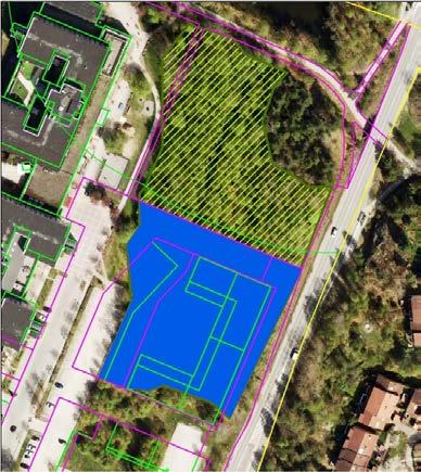 Bedömningen är att nära 5800 kvadratmeter av sumpskogen behöver fyllas ut vilket motsvarar ca 50% av den sumpskogsareal som är kvar idag.