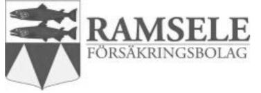 ca 19.00 Ved- & Paketauktion ca 19.00 (paket mottages ca 19.00 tacksamt). ca 20.00 Brasan tänds. Fiskdamm för de små.