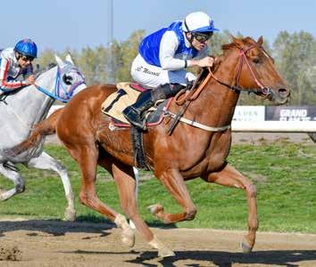 Miss Maybach (e Graydar) var en lovande tvååring som inte kom till start efter 000 Guineas som treåring.