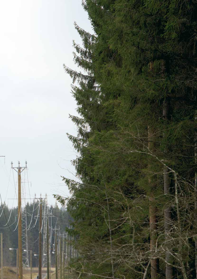 Komplett lösning för belagda ledare Belagda ledare utvecklades för att förbättra tillförlitligheten vid överföring av elektricitet.