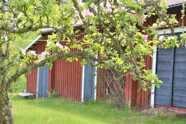 Om fastigheten Typ: 220 Småhusenhet Mark: 6712 m² Pris: Högstbjudande Län: Kalmar Kommun: