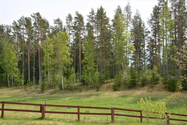 Förrådsbyggnad Tak av plåt, stomme av trä.