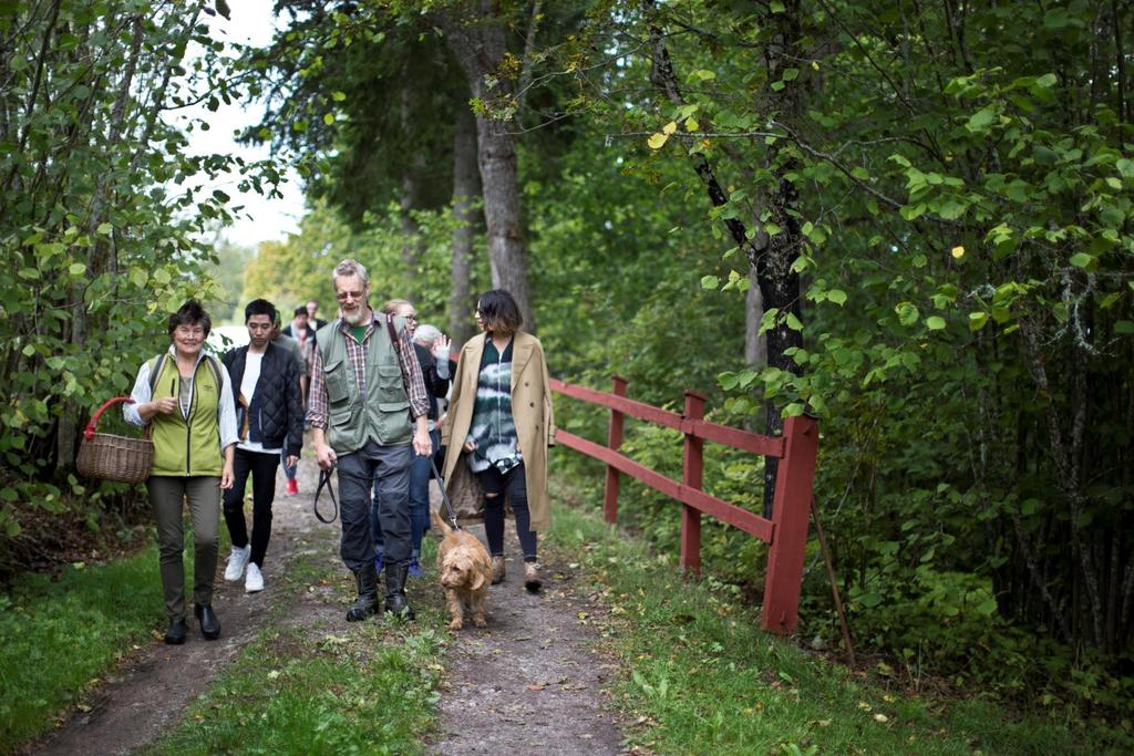 Satsningar på fritidshusturism i Sörmland kan möjliggöra indirekta effekter av ökad attraktivitet för lokala orter.