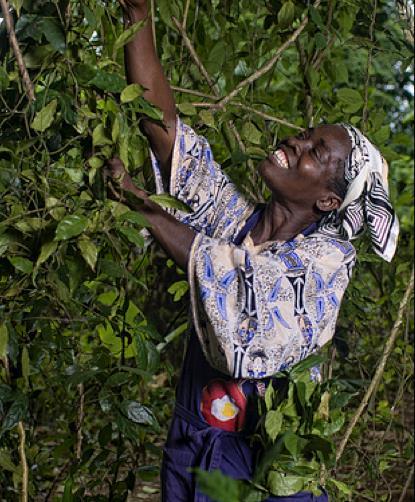 Energy Housing Livelihoods and employment Climate change