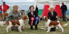 Bästa Unghund Best In Show unghund Eastfarm In Fashion Eastfarm Flying Daemon/FINUCh Hammalgårdens Seastar At Eastfram Äg