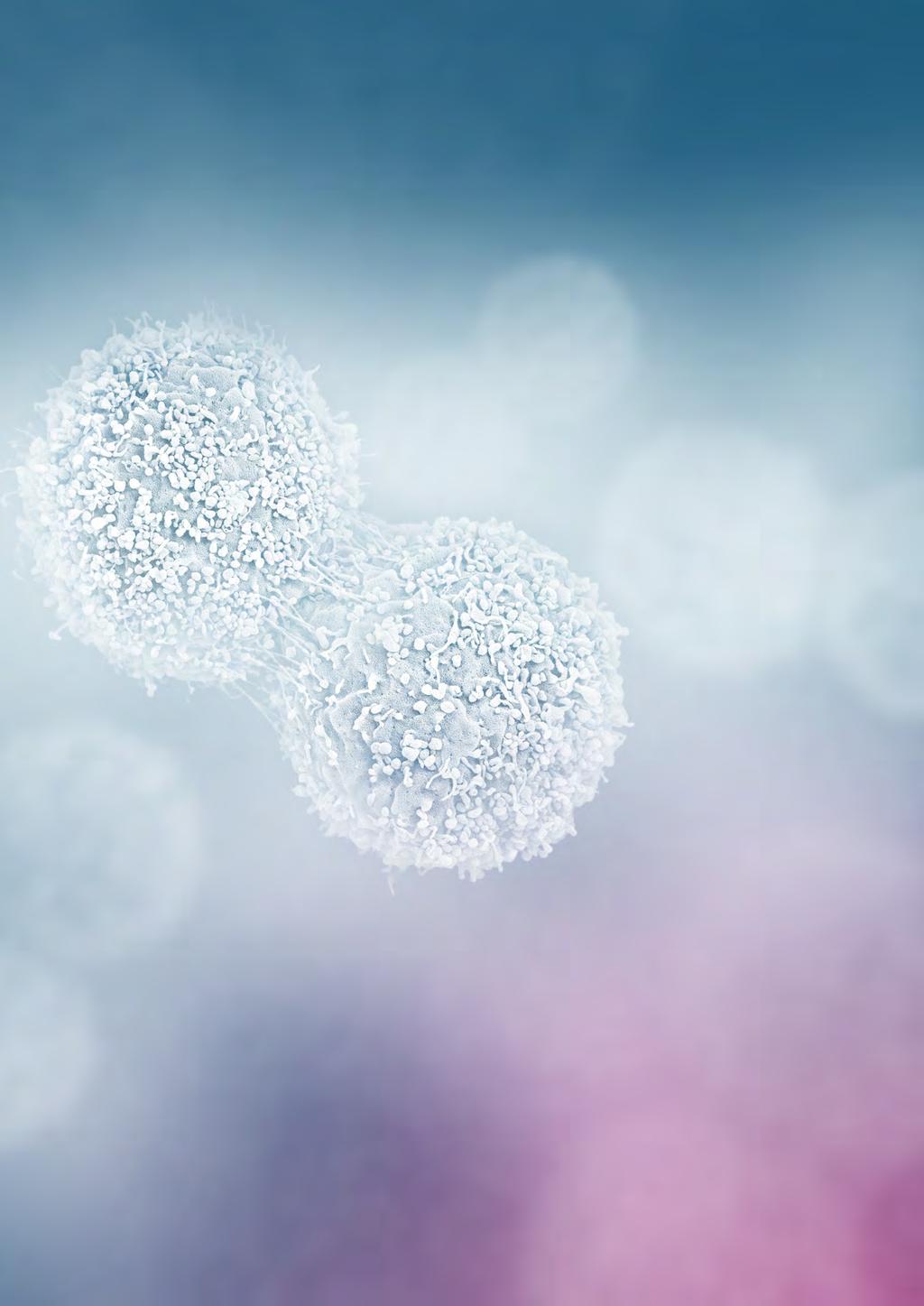 Investmentcaset Stor marknad och kliniskt behov DiviTum är ett biomarkörstest som gör det möjligt att följa upp cancerbehandling redan 2-4 veckor efter insatt behandling.