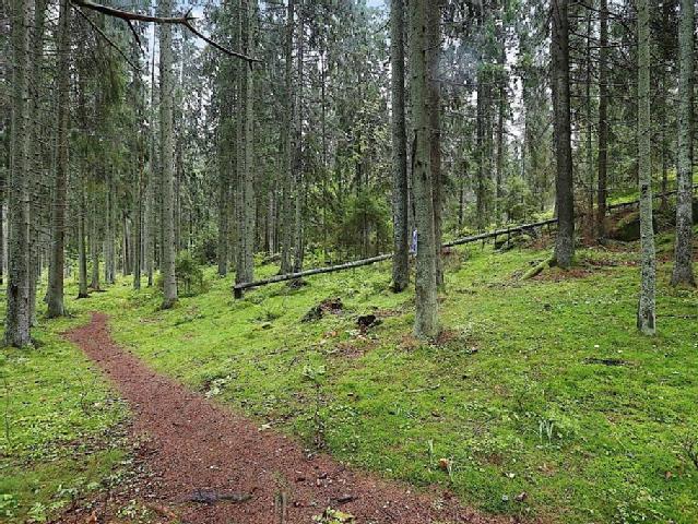 Nedanstående bilder är avsedda att fungera som vägledning.