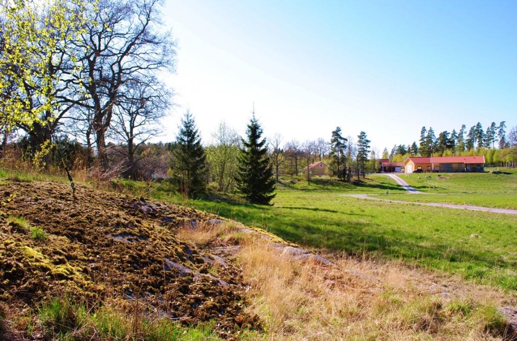 Moderata höjdskillnader Det läge som markerats som låglänt i denna bild skulle också kunna vara mycket låglänt om vattnets