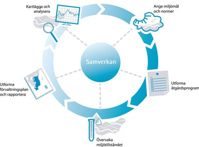 förvaltningscykel -