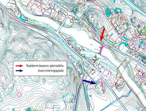 5. Resultat Under karteringstillfällena påträffades tre olika fladdermusarter, nordisk fladdermus, vattenfladdermus och mustasch /Brandts fladdermus (ett snarlikt artpar som här behandlas som en