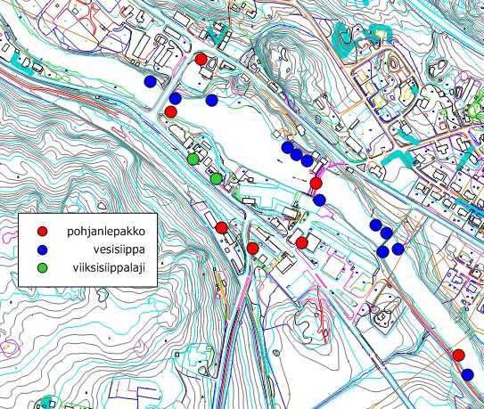 Mustasch /Brandts fladdermus observerades vid bostadshusen vid Svartåns sydvästra strand. De jagade vid träden längs vägen och även ovanför vägen.