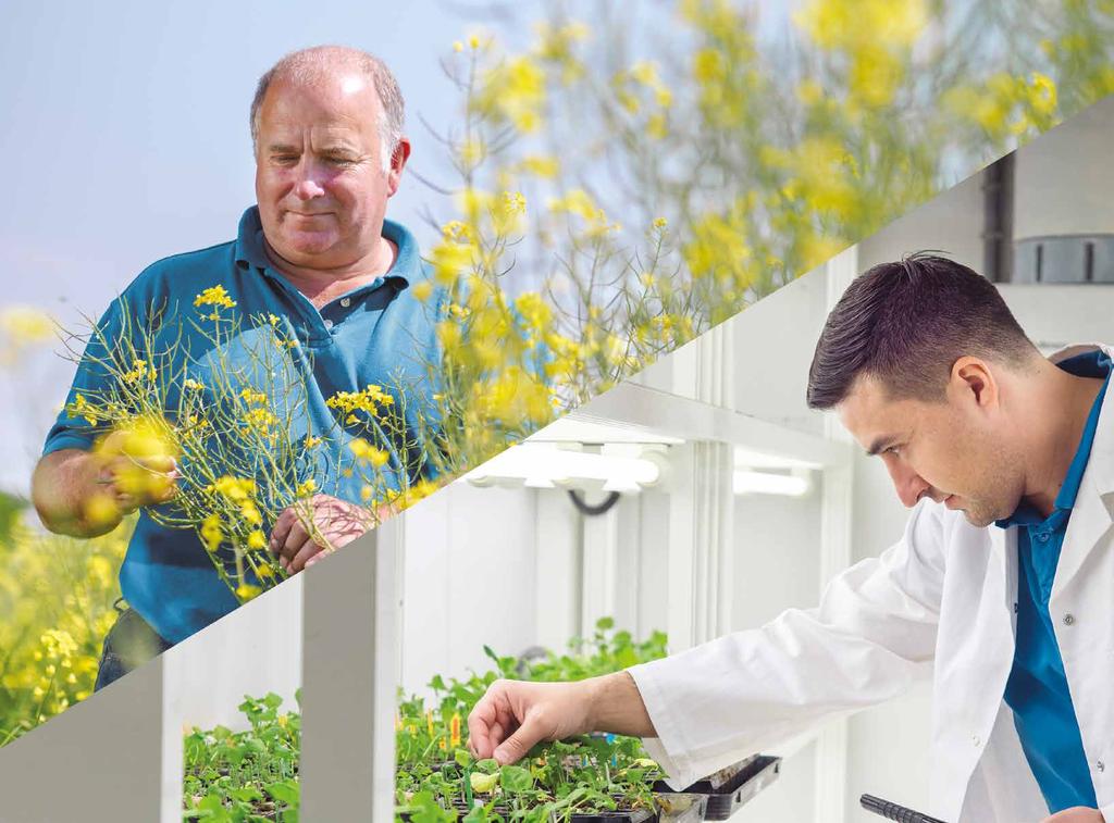 I över 30 år har DEKALB sett till att odlare varit framgångsrika med hjälp av produkter som ger hög avkastning, innovativa lösningar, och betydelsefullt samarbete under hela säsongen.