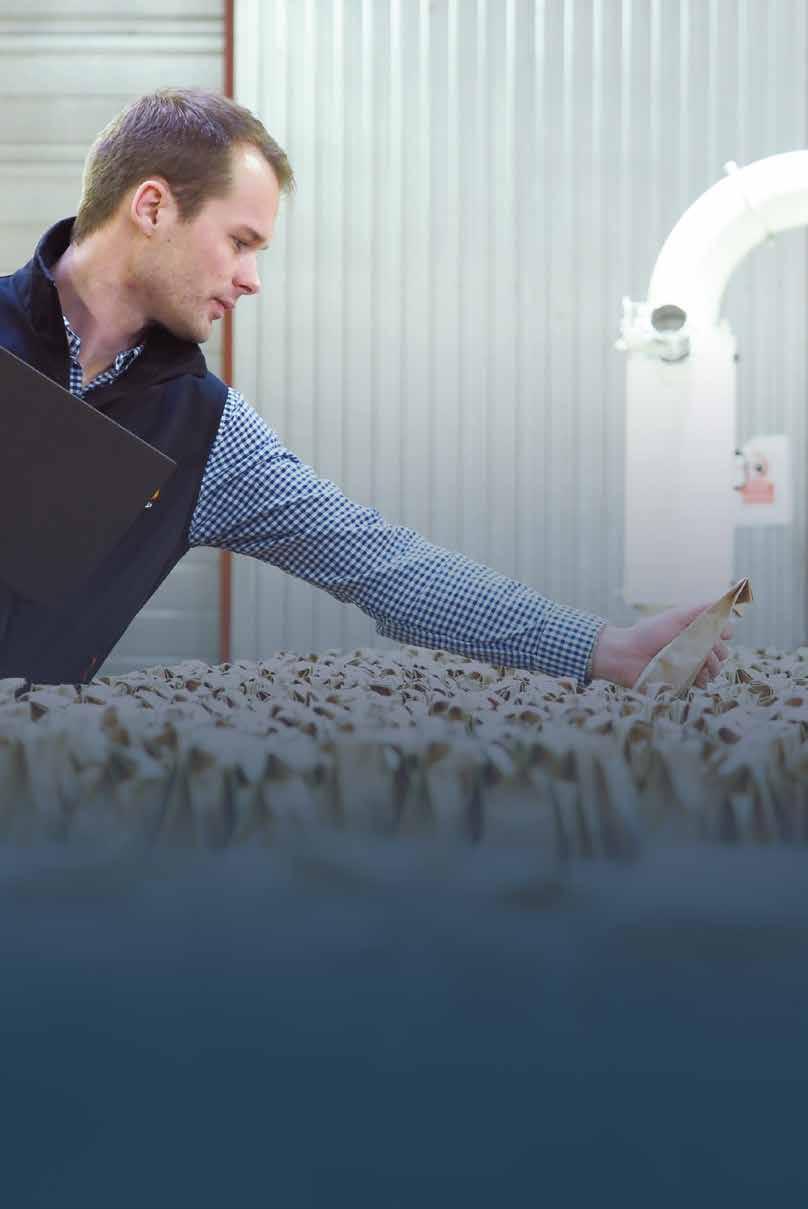 Hybrider som odlats för att motstå och växa under hårda vintrar. AGRONOMIOSKT RÅD VINTERHÄRDIGHET STARK VINTERHÄRDIGHET God utveckling innan vintern. Ingen meristemskada, välutvecklade rotsystem.