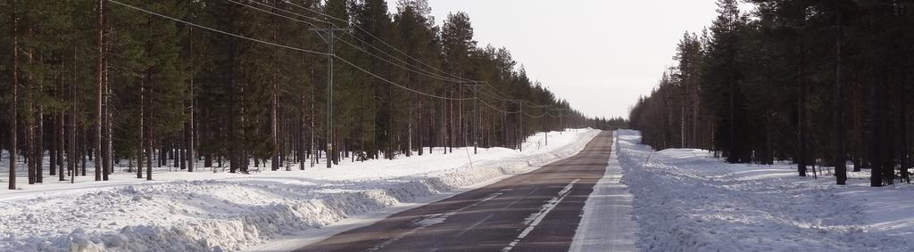 Förutsättningar: Väg 395 riksintresse för kommunikation. Delvis åtgärdad med ny beläggning. Vägbredden varierar mellan 6-7,5 meter. Bärighetsbrister, tjällyft och dålig dränering.