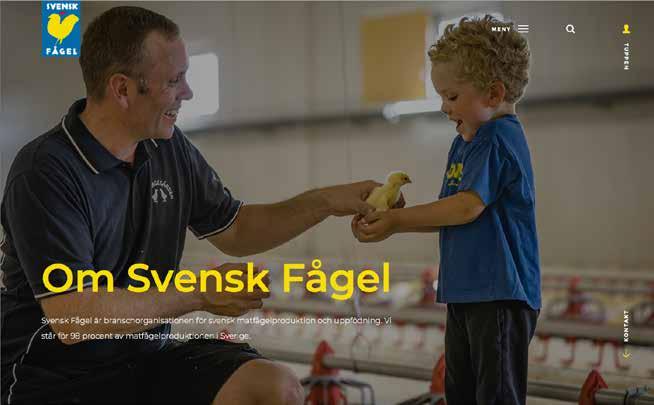 STUDIEBESÖK, SEMINARIER OCH KONFERENSER Hemsidan och sociala medier Hemsidan, www.svenskfagel.